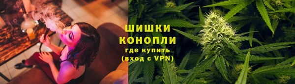ешки Белокуриха