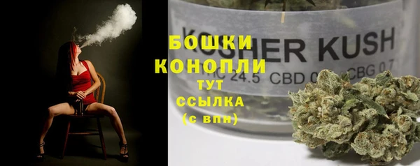 дживик Белоозёрский