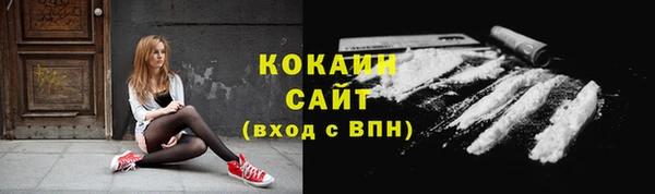 ешки Белокуриха
