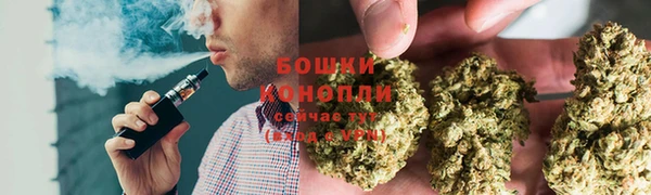 ешки Белокуриха