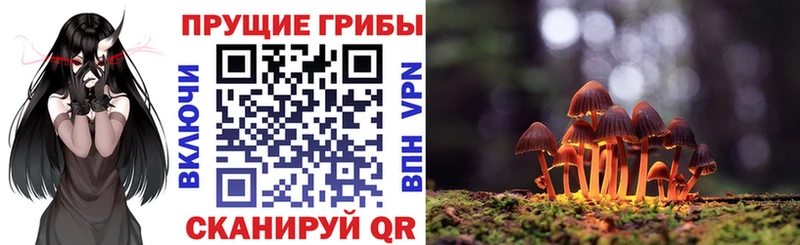 хочу Минеральные Воды Галлюциногенные грибы Psilocybe